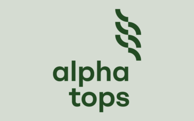 The New Face of Alpha Tops
